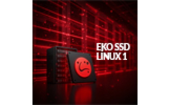 EKO SSD LİNUX 1