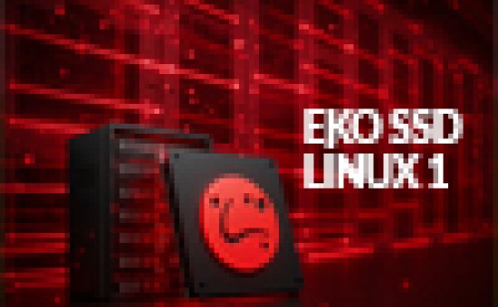 EKO SSD LİNUX 1
